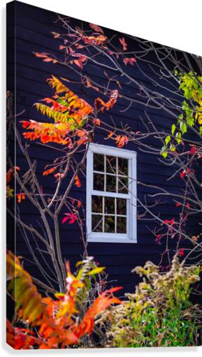 Autumn Window Canvas Print