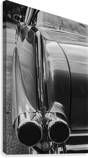 Chrome Sharkfin Canvas Print
