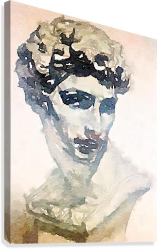 David Canvas Print