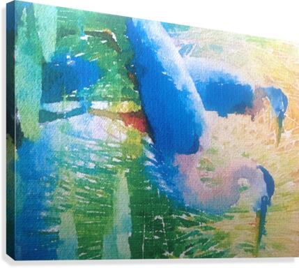 Herons Canvas Print
