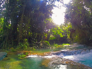 Tropical Jamaica