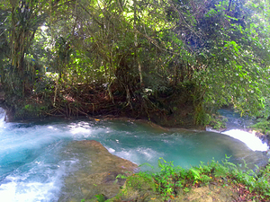 Flowing Through Jamaica