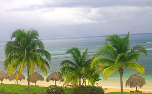 Palm Trees and Cabanas in Jamaica
