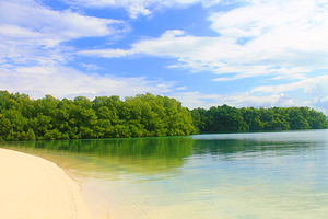 Sandy Beach of Jamaica