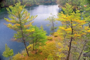 Blue Green and Yellow in Gananoque