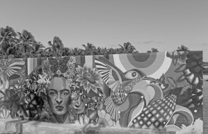 Bursting with Colour B&W