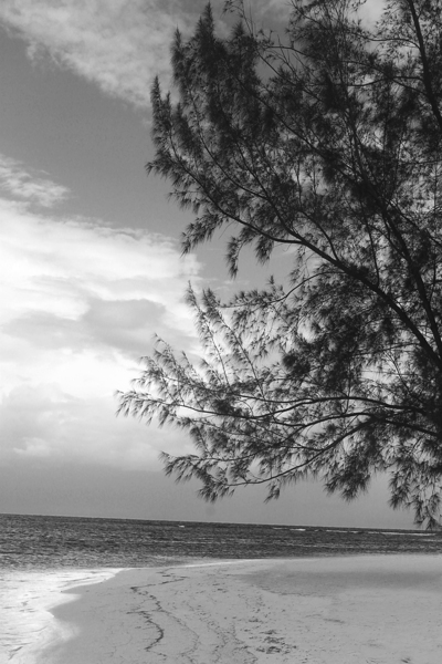 Beauty in Jamaica B&W by Timeless Scenery Photography