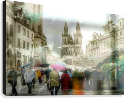 Caught in a Web Canvas Print