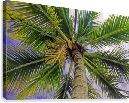 Overpowering - Belize Canvas Print