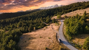 The Last Road Home