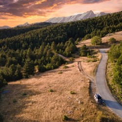 The Last Road Home