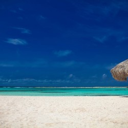 Island Stillness Aruba