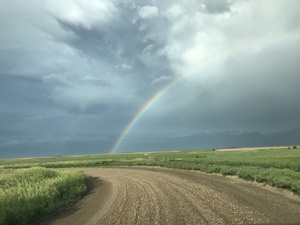 The road less traveled 