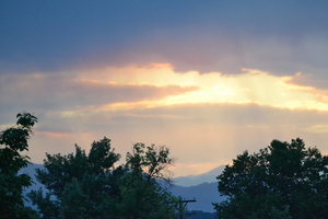 Sun breaking out of the trees to the heaven’s 