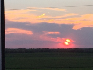 D68A6303 D0D6 4FF1 9971 60FB698888D1