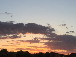 EFBB9133 D3F1 42A0 A232 D718E6FAB30D