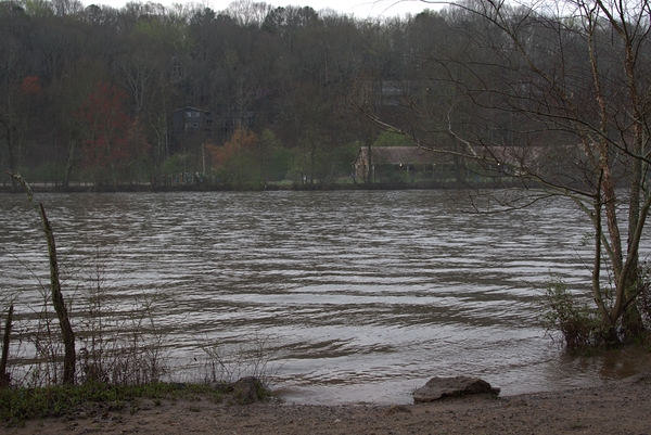 Enjoying the View Print