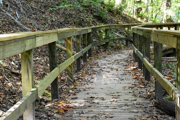 The trail of life Print