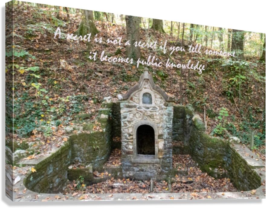 A Secret Canvas Print