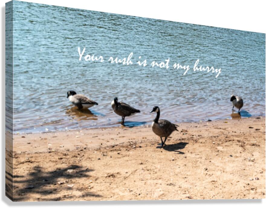 Your Rush Canvas Print