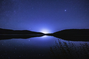 Plants and Lake Under the Midnight Stars