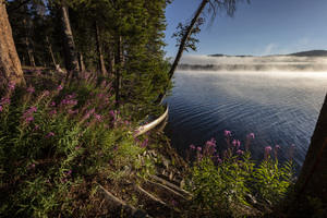 Morning Fog Flowers and a Canoe