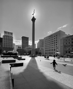 Chasing Pigeons in a Plaza