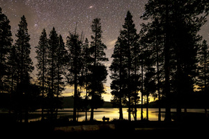 Sitting Under the Stars