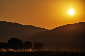 Morning Yellow Sun
