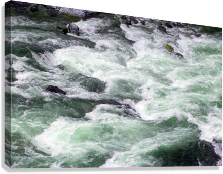 River Rapids in Spring Canvas Print