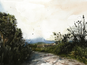 Cranbrook path