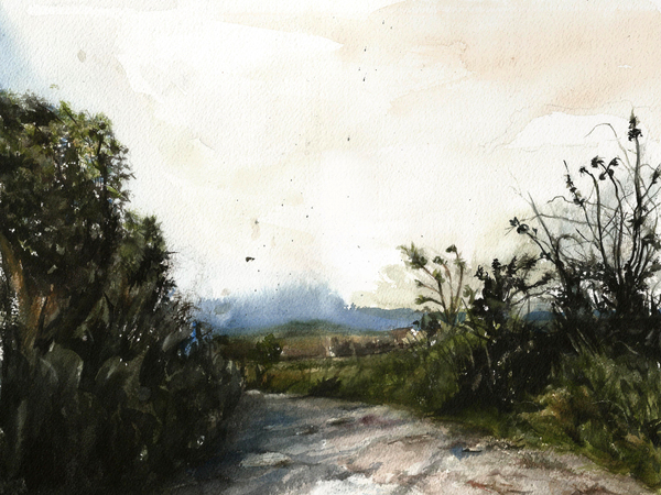Cranbrook path Print