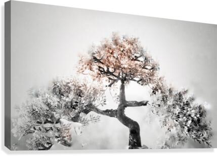 Trinity  Canvas Print