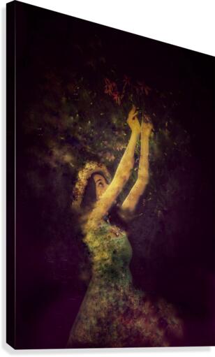 Plumeria Canvas Print