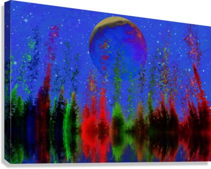 FIRR MOON Canvas Print