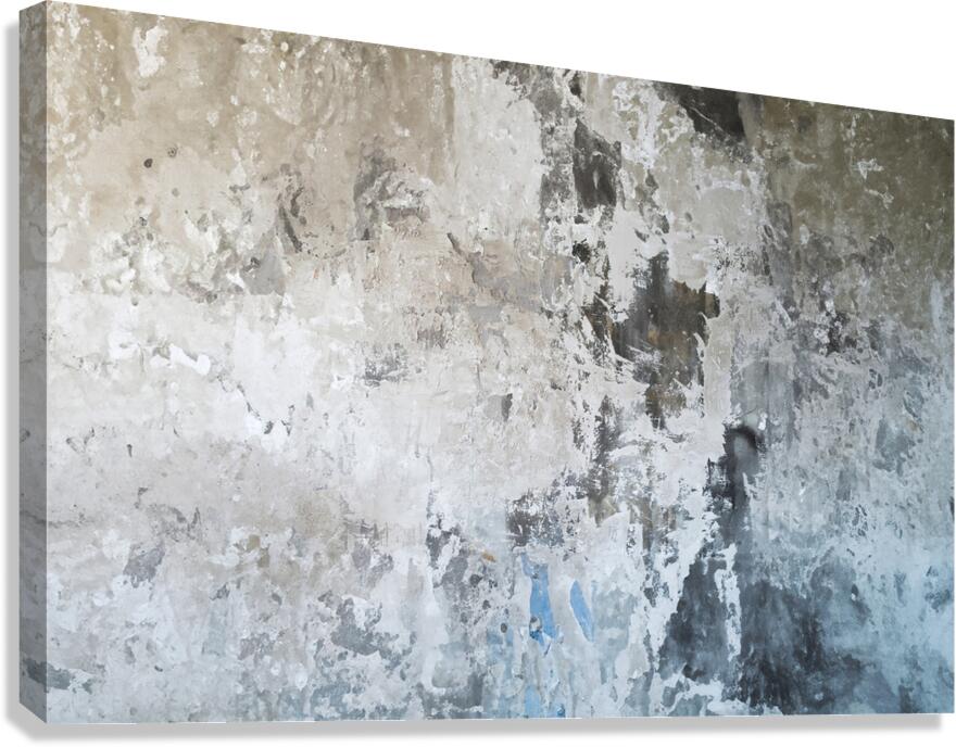 004 tex Canvas Print
