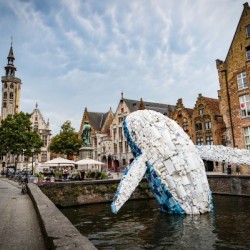 Skyscraper - The Bruges Whale