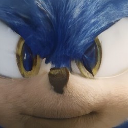 Eye of The Hedgehog