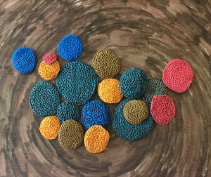 Corals