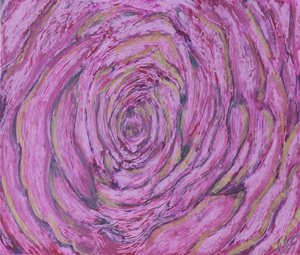 pink rose
