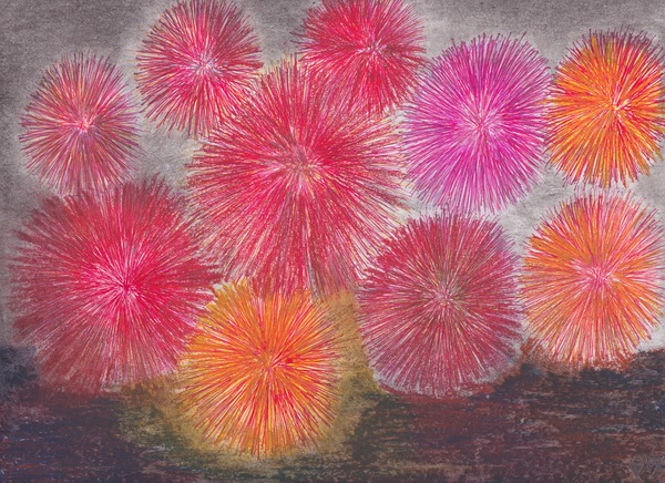 Fireworks by Pallavi Sharma