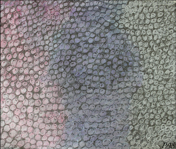 Pebbles  Print