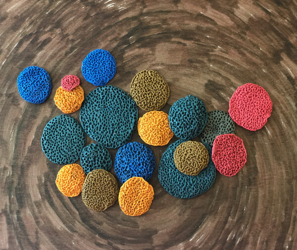 Corals by Pallavi Sharma