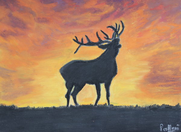 reindeer by Pallavi Sharma
