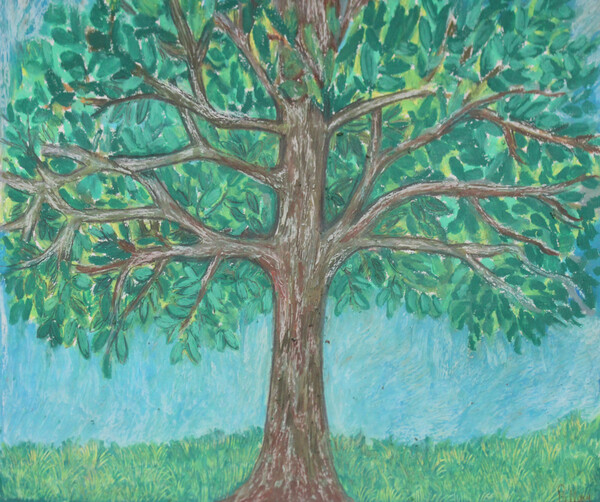 treewalk by Pallavi Sharma