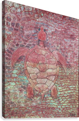 tortoise Canvas Print