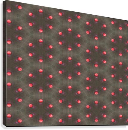 redbeads Canvas Print