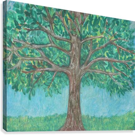 treewalk Canvas Print