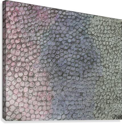 Pebbles  Canvas Print
