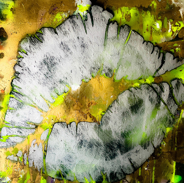 845C6BEA 88D4 4327 A835 48EA6B585340 Print